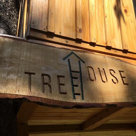 ツェルクニェ・ナ・ゴレニスケム Tree House Alpinka Krvavecヴィラ エクステリア 写真
