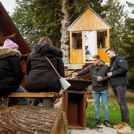 ツェルクニェ・ナ・ゴレニスケム Tree House Alpinka Krvavecヴィラ エクステリア 写真